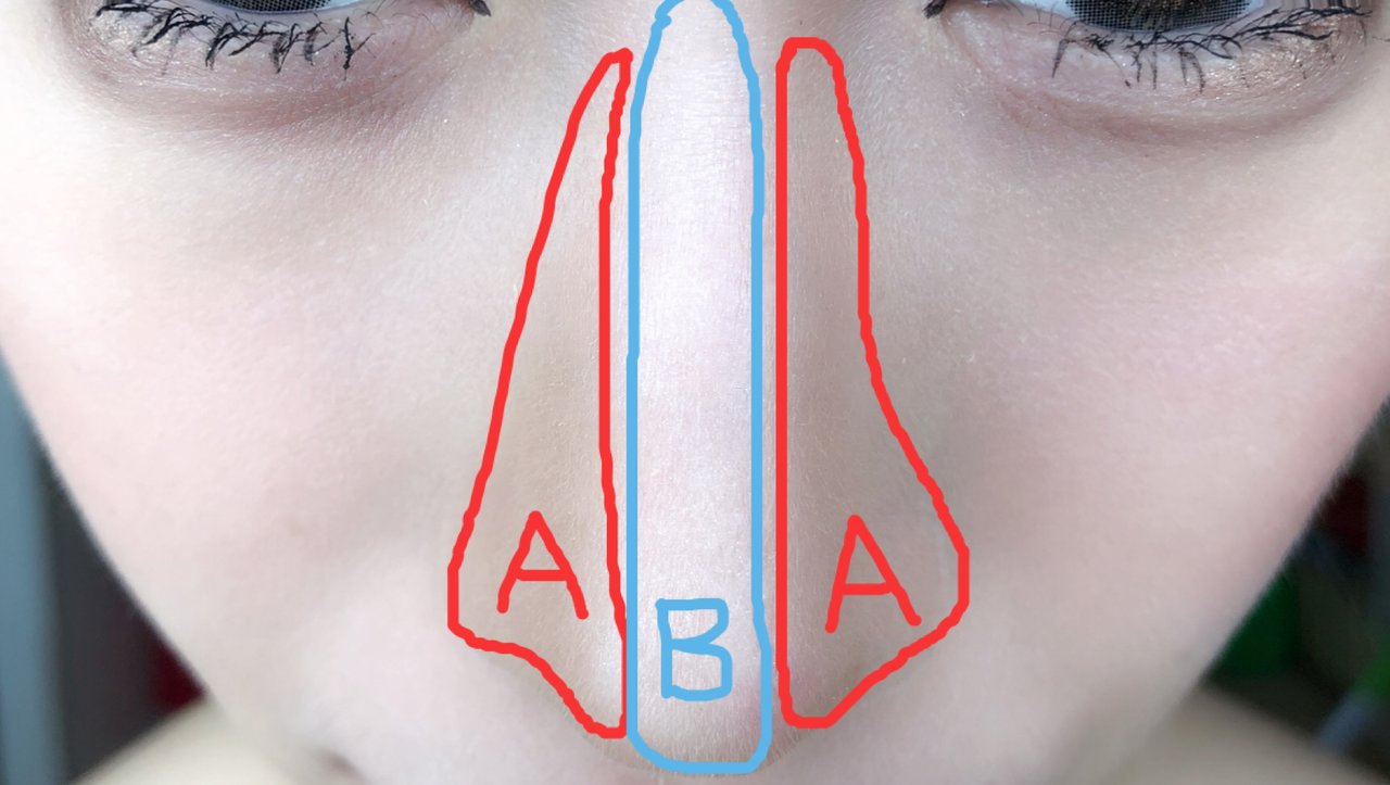 自撮り ダレノガレ明美 ハーフメイク　影　シェーディング