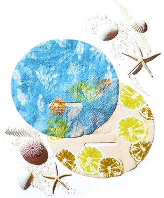 フェイスマスク　フレグランスカラーパレット　アフタヌーンティー・リビング