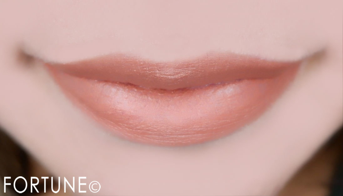 SHISEIDO(資生堂) モダンマット パウダーリップスティック 504