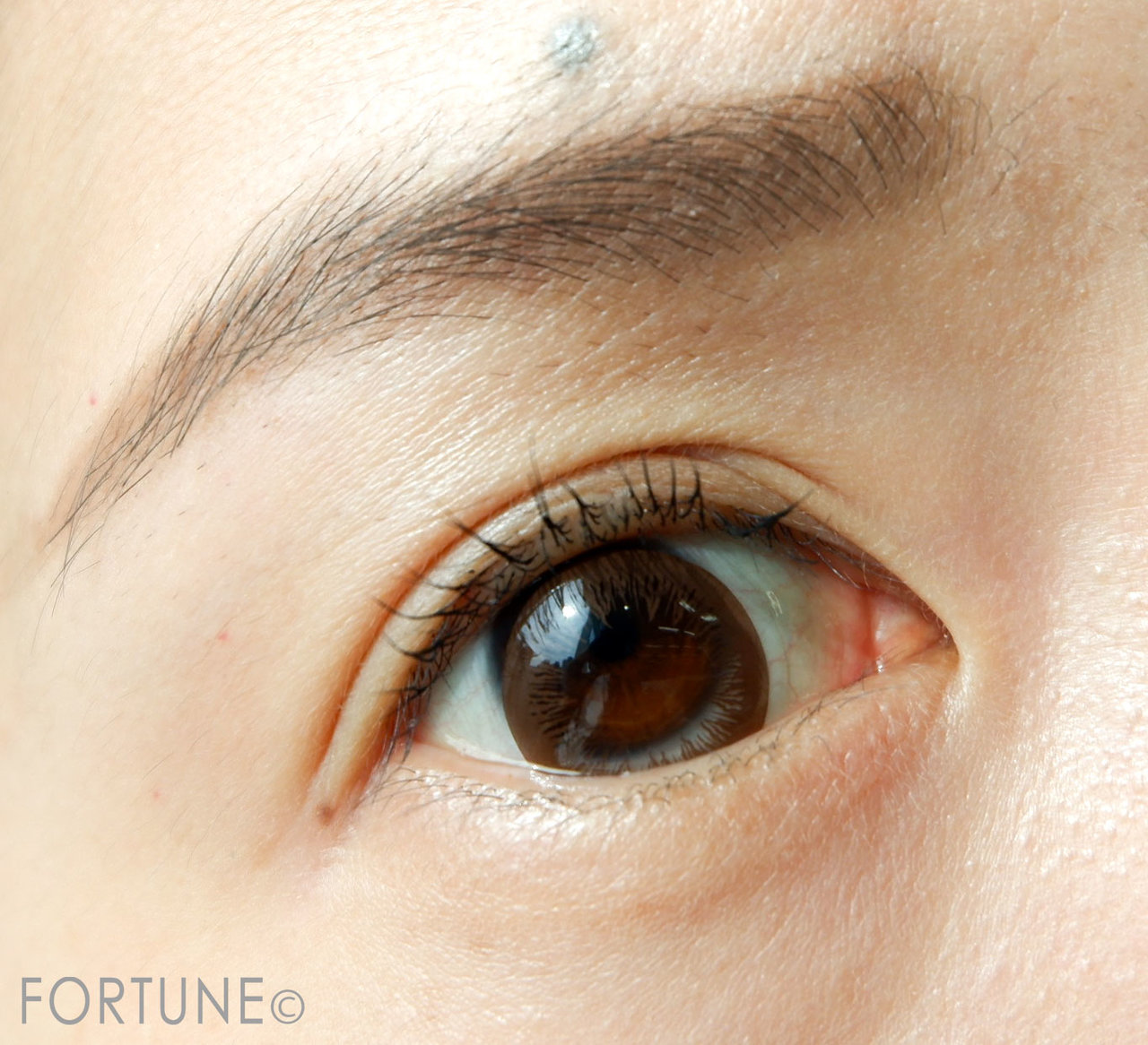 ARTISTRY STUDIO NYC EDITION 3イン1マスカラ