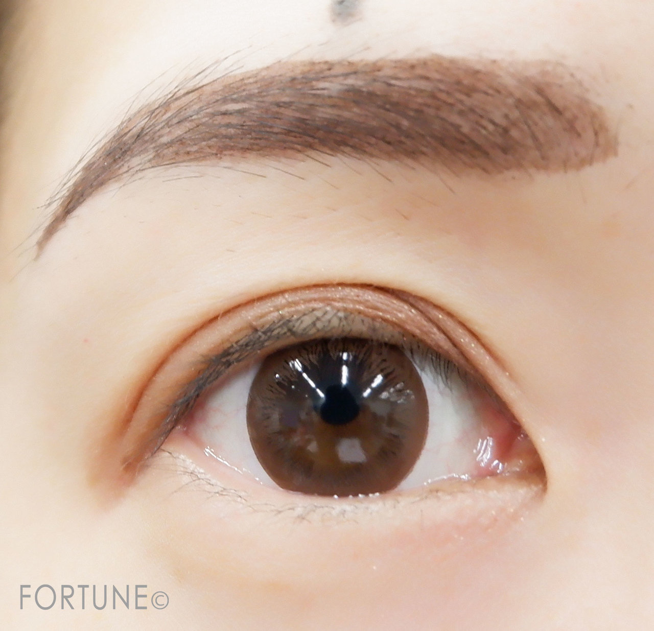 レブロン カラーステイ ブロウ ティント ダークブラウン