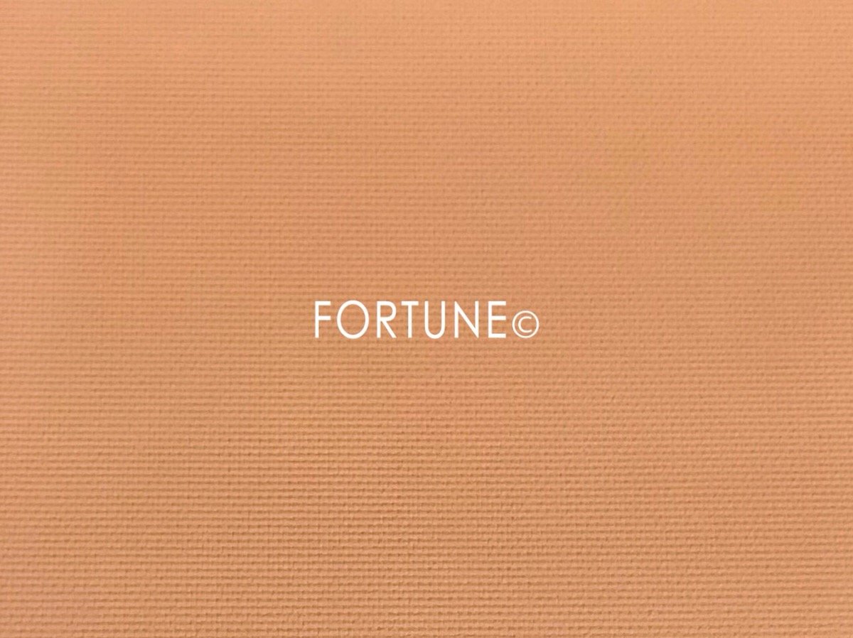 ナーズ ソフトベルベットプレストパウダー 1458