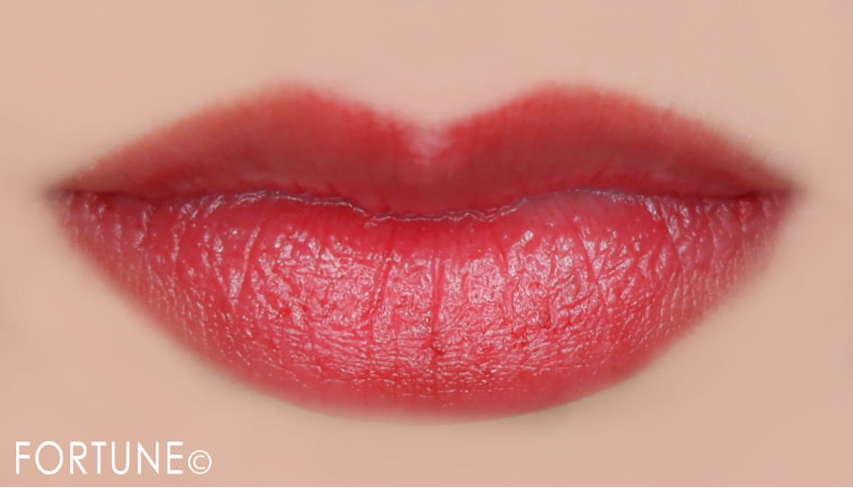 ボビイ ブラウン　04 ルビー