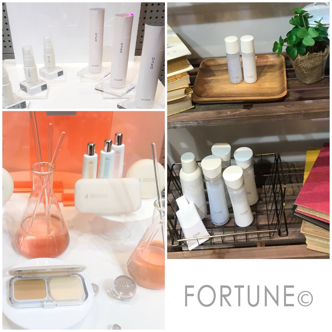 資生堂 dプログラム HAKU エリクシール