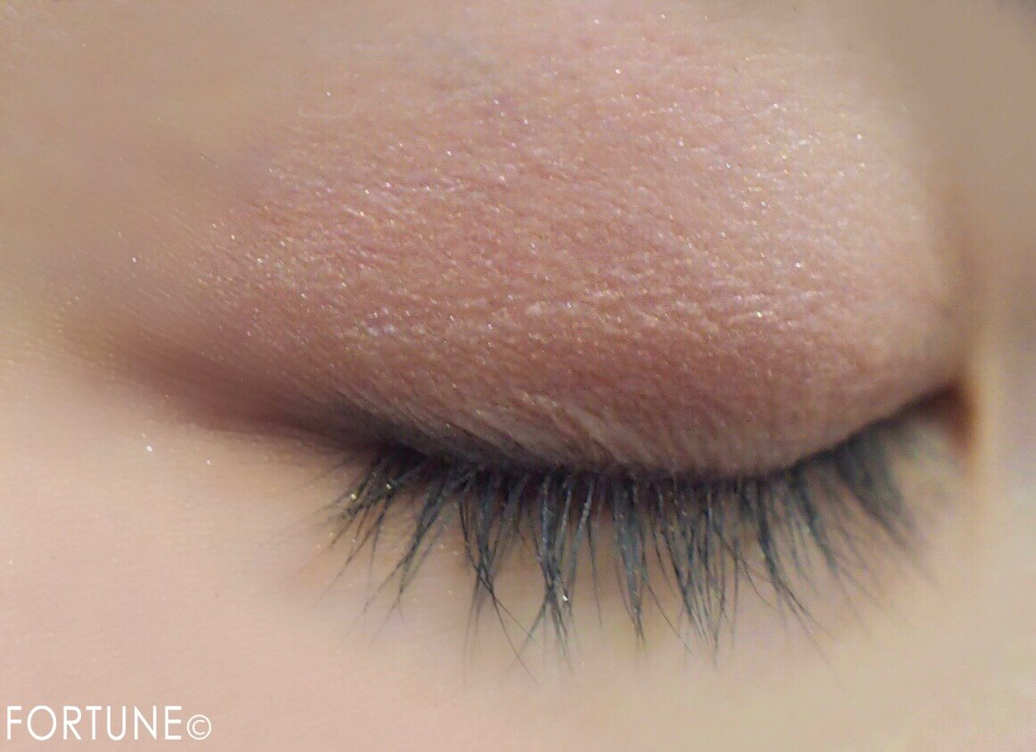 ショコラ・フィグ使用感