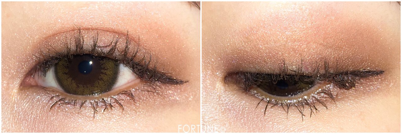 2019春新作 KATE（ケイト）ダークローズシャドウ BR-3