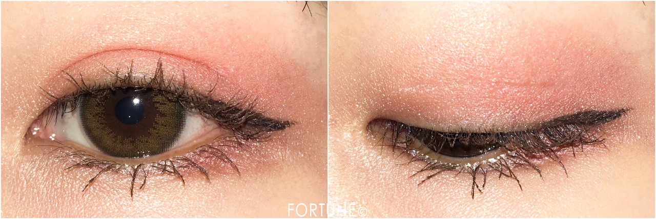 2019春新作 KATE（ケイト）ダークローズシャドウ PK-1