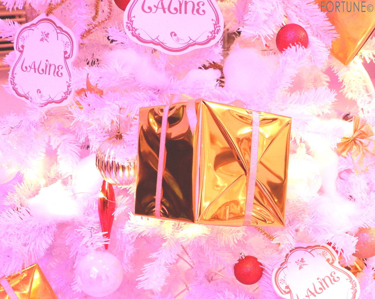 Laline（ラリン）　クリスマスパーティー