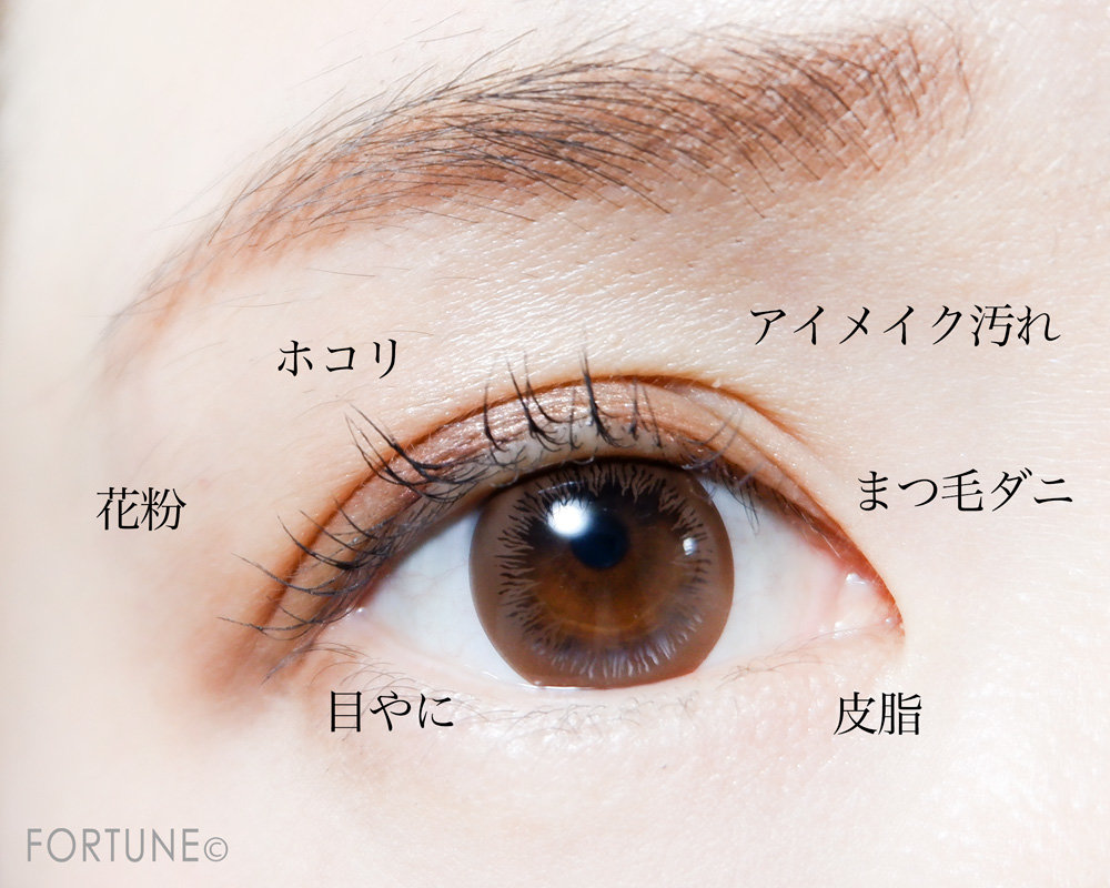 ＜アイシャンプー リフレッシュ＞