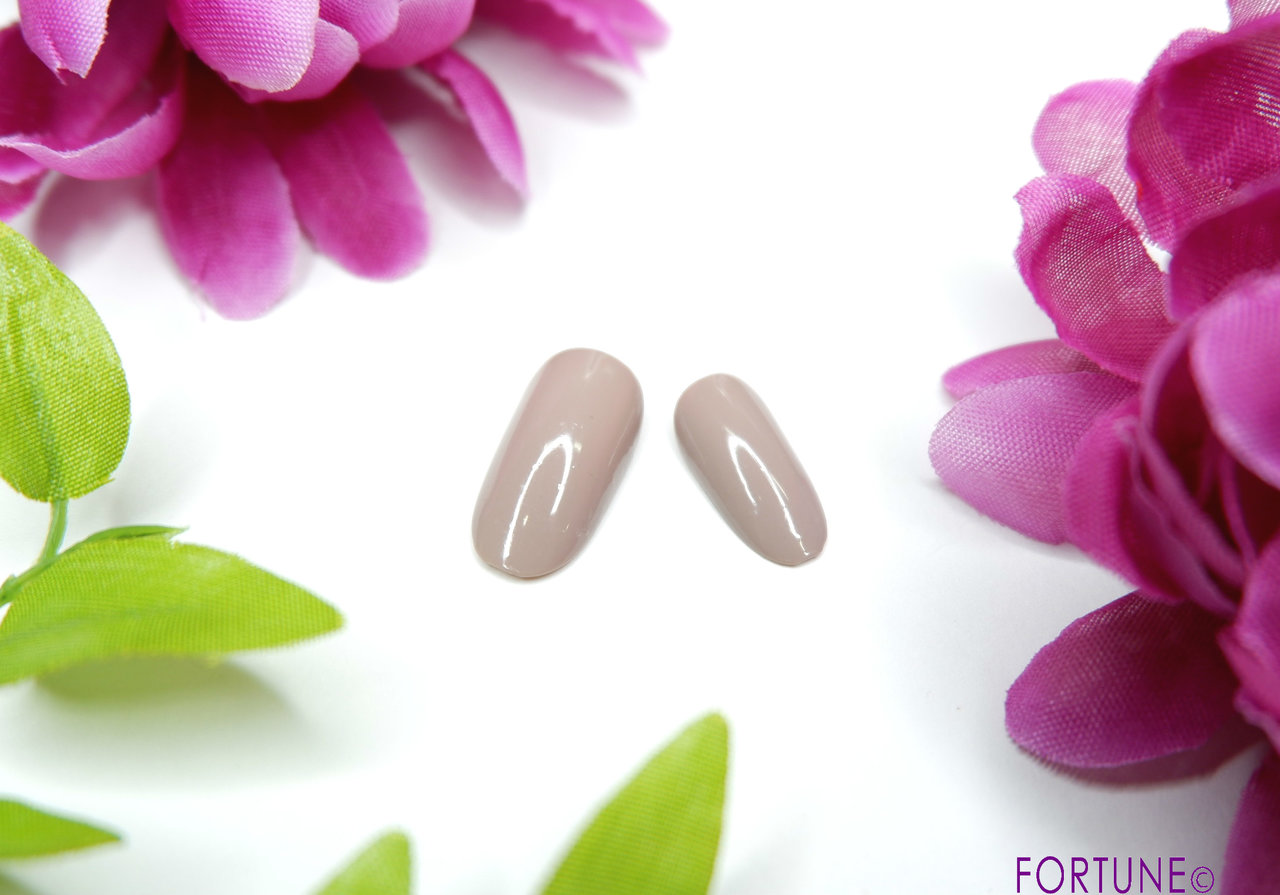 Ducato(デュカート) ナチュラルネイルカラーN 45 Shhh!