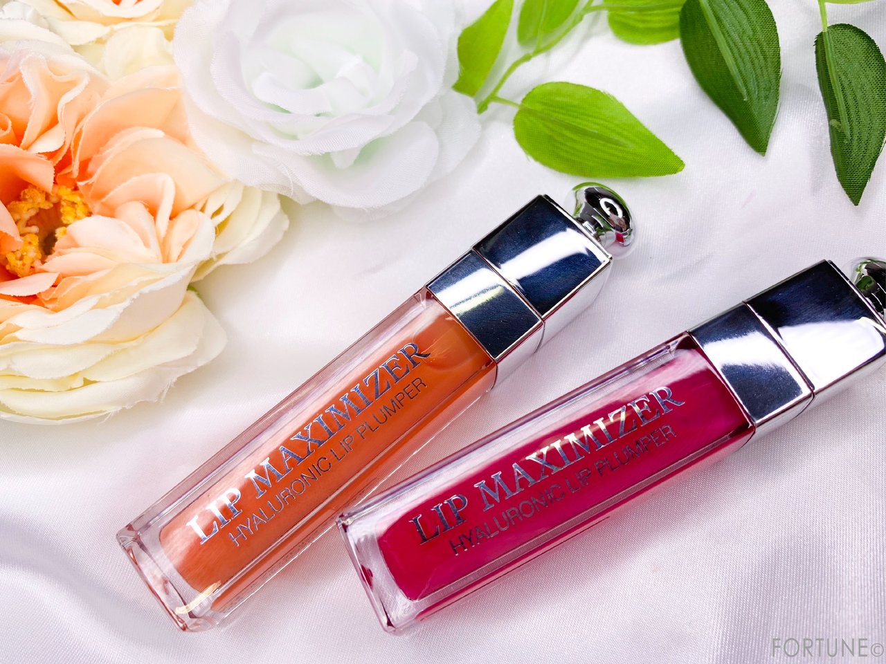 2019春新作 Dior（ディオール）アディクト リップ マキシマイザー