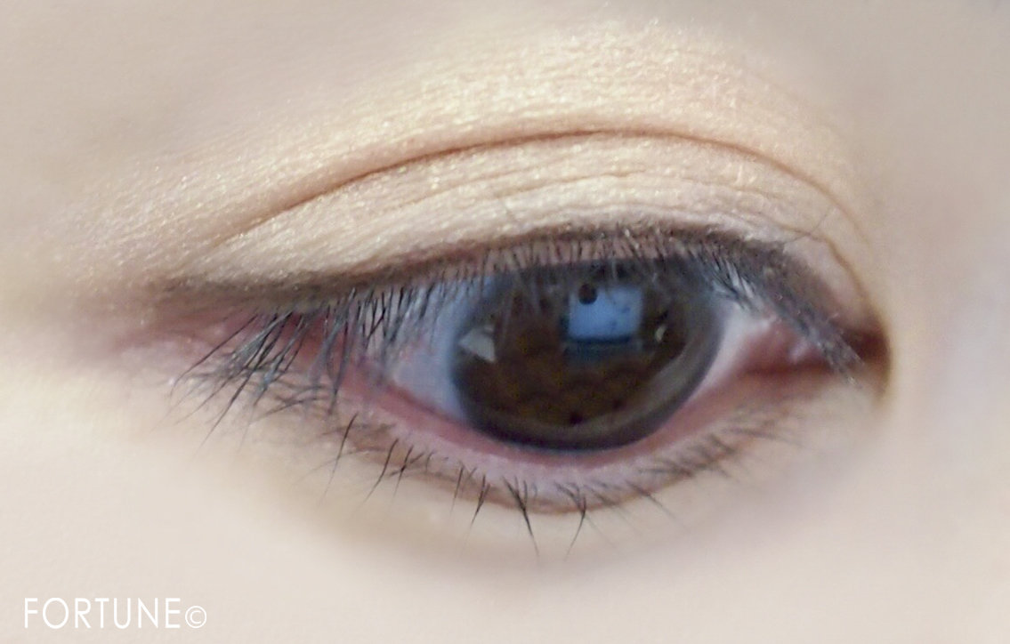 ゴージャス姉妹使用感