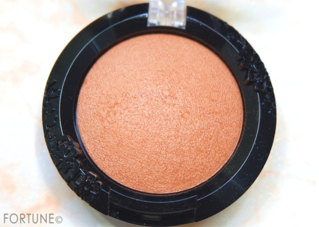 Visee（ヴィセ）「フォギーオン チークス BR301」色味