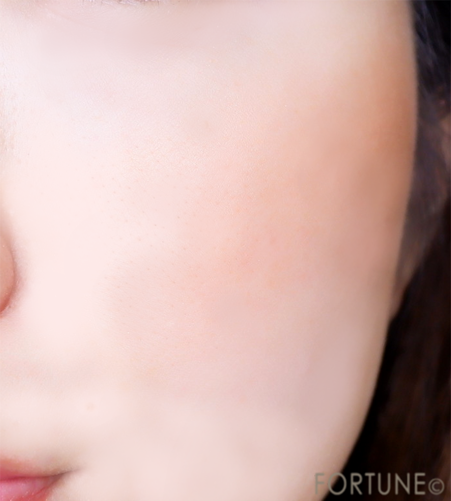 Visee（ヴィセ）「フォギーオン チークス BR301」付け心地