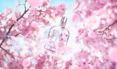 ロクシタン　チェリープリズム　2019春　新作