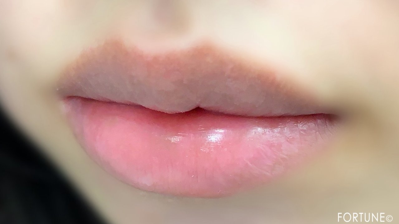 エテュセ リップエッセンスシリーズ塗布前