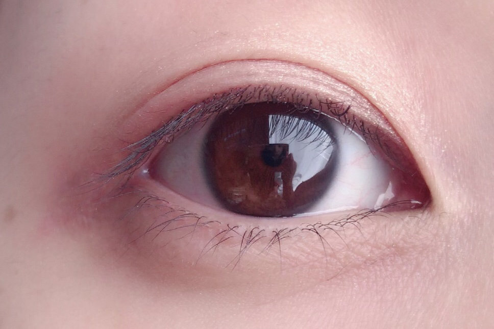 セルヴォーク　ヴォランタリーアイズ #10 エクルベージュ