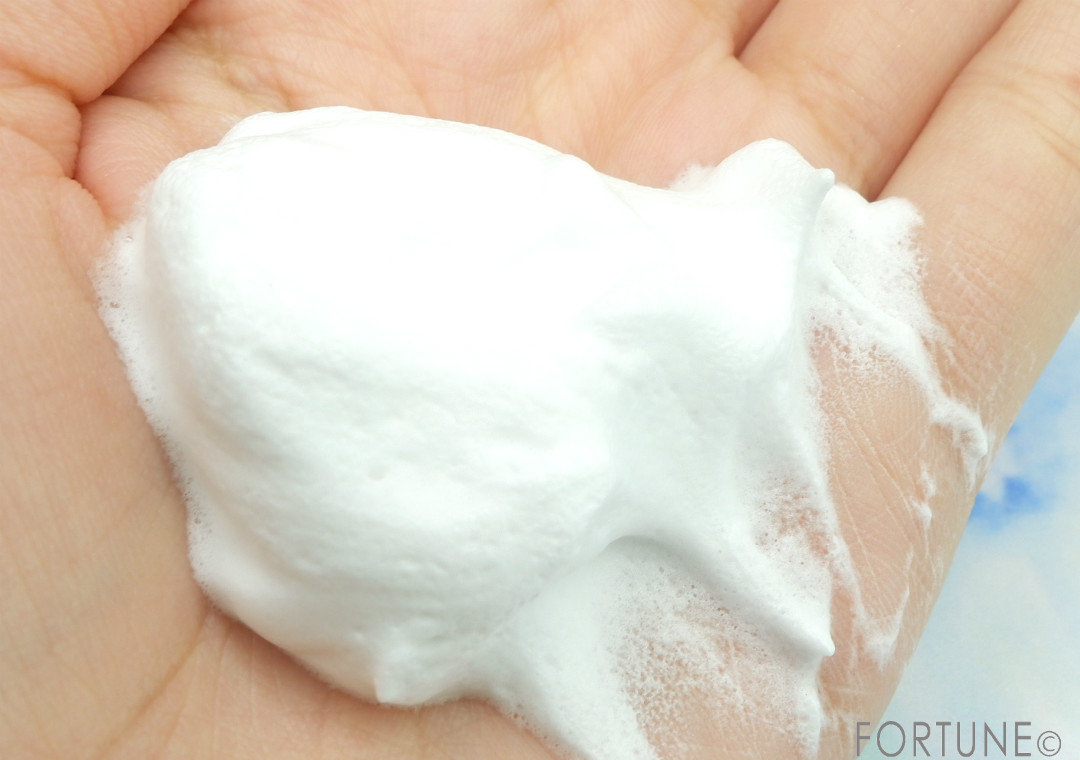 洗顔専科　パーフェクトホワイトクレイ