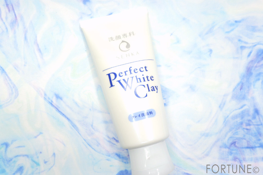 洗顔専科　パーフェクトホワイトクレイ