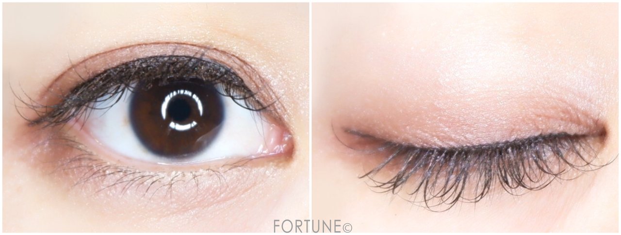 KATE　ケイト　ザ アイカラー　パール　2019夏新作　アイメイク