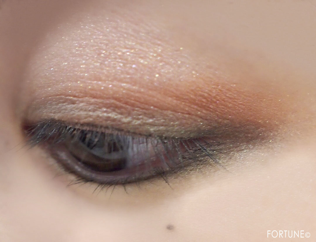 「カモ アイシャドー パレット」使用感