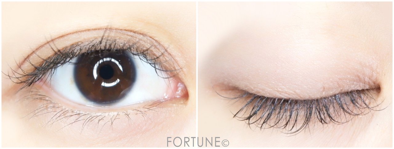 KATE　ケイト　ザ アイカラー　マット　2019夏新作