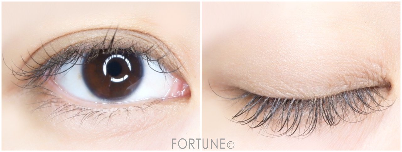 KATE　ケイト　ザ アイカラー　マット　2019夏新作