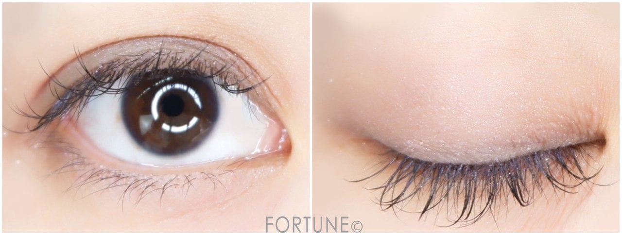 CHICCA　キッカ　Lucent Night(ルーセントナイト)　2019夏新作　キッカ フローレスグロウ リッドテクスチャー アイシャドウ　EX10 ムーンインザウォーター