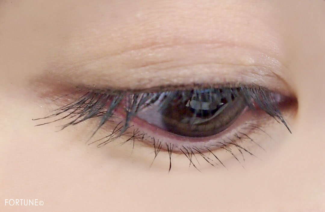 資生堂　SHISEIDO　コントロールカオス マスカラインク　01 Black Pulse　2019夏新作　