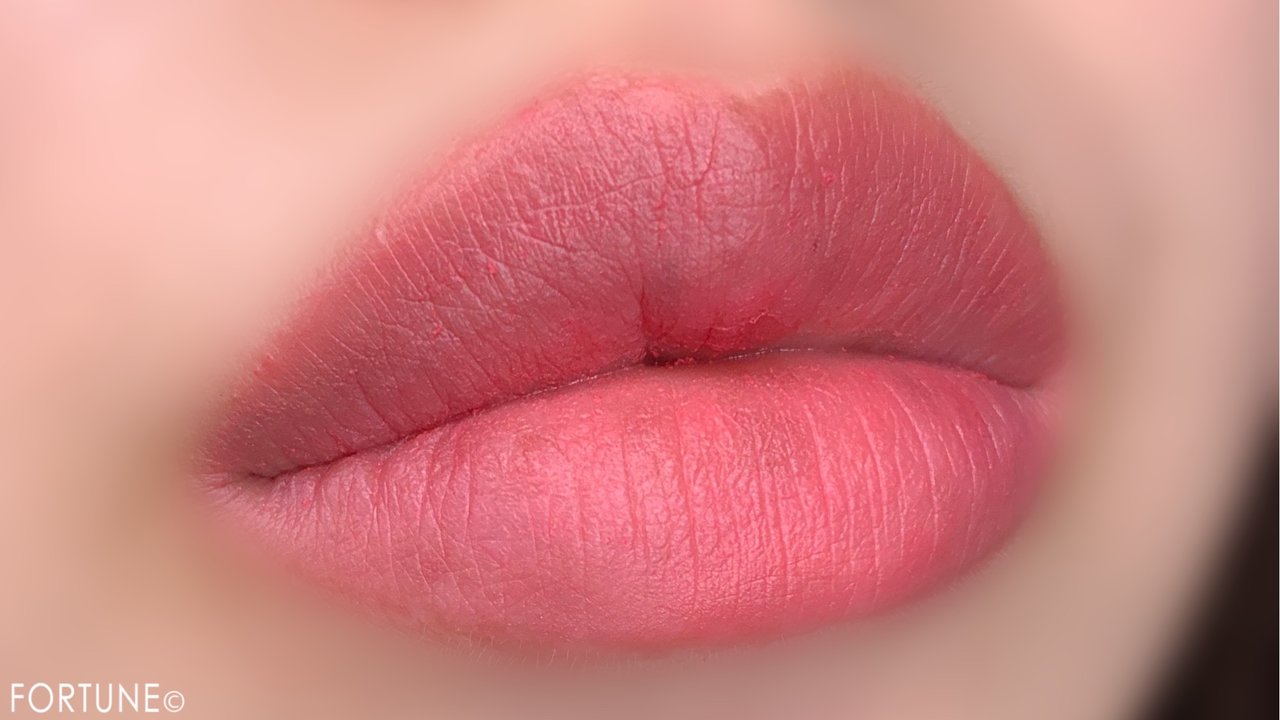 画像：ブリリアージュ 2019SSカラーセレクションB ヴェルヴェットルージュ 05