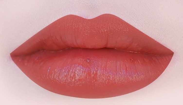 ザ・ヨン ロージーリップ　S501 テラコッタ　ヌーディー