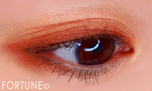 画像：ダイソー【ユーアーグラム(U R GLAM)】「ブルーミング アイカラーパレット 01」使用感