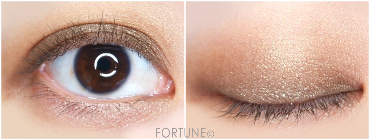 画像：マキアージュ ドラマティックスタイリングアイズS　BR734 マロンティー　メイク　2019夏新作　運命のブラウン