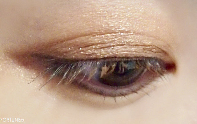 キャンメイク「クイックラッシュカーラー」ブラウン使用感