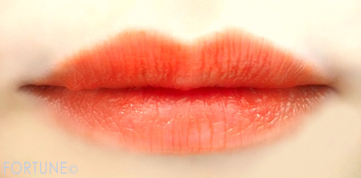 画像：《アディクション(ADDICTION) 2019秋新作》10 リミテッドエディション「リップコンシャス アディクション」メイク