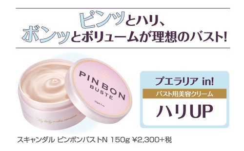 ピンボンバストN