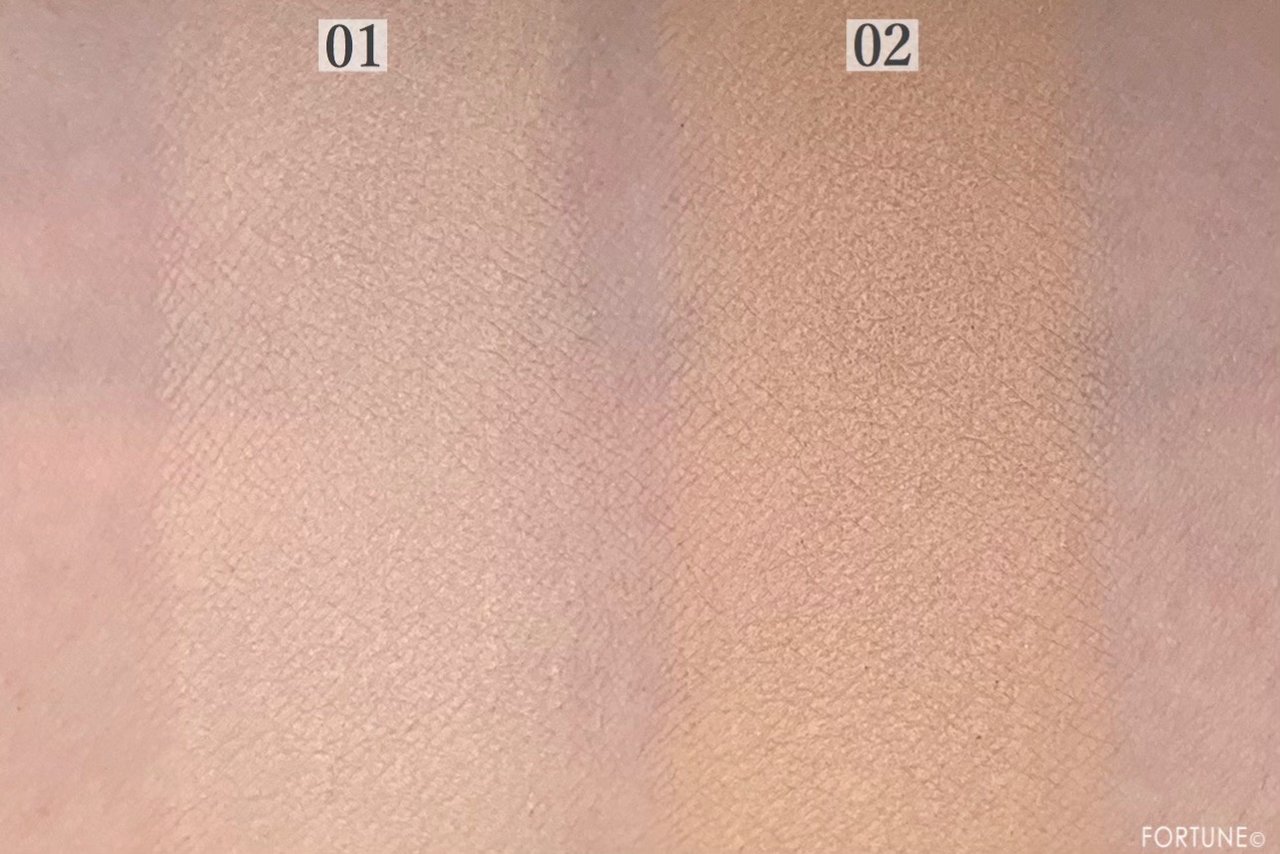 CEZANNE（セザンヌ）2019春夏新作 プチプラ 上半期ベストコスメ／UVシルクカバーパウダー