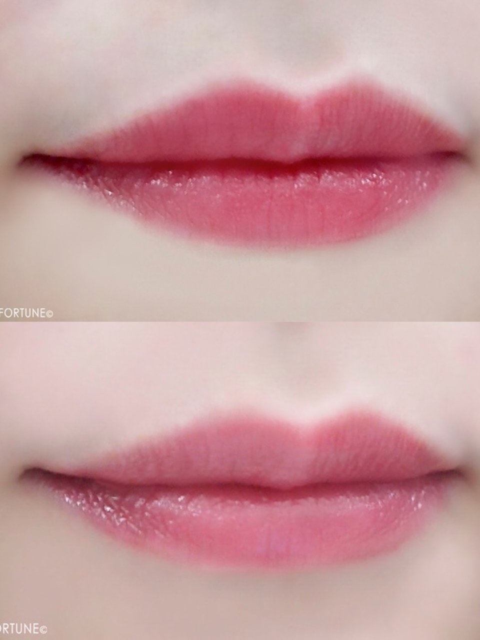 コスメカレンダー：パラドゥ「エッセンスルージュ」