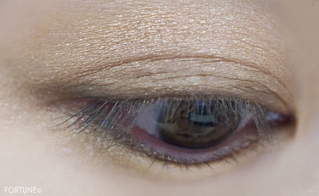 画像：REVLON（レブロン）2019秋新作コスメ レブロン カラーステイ ルックス ブック パレット