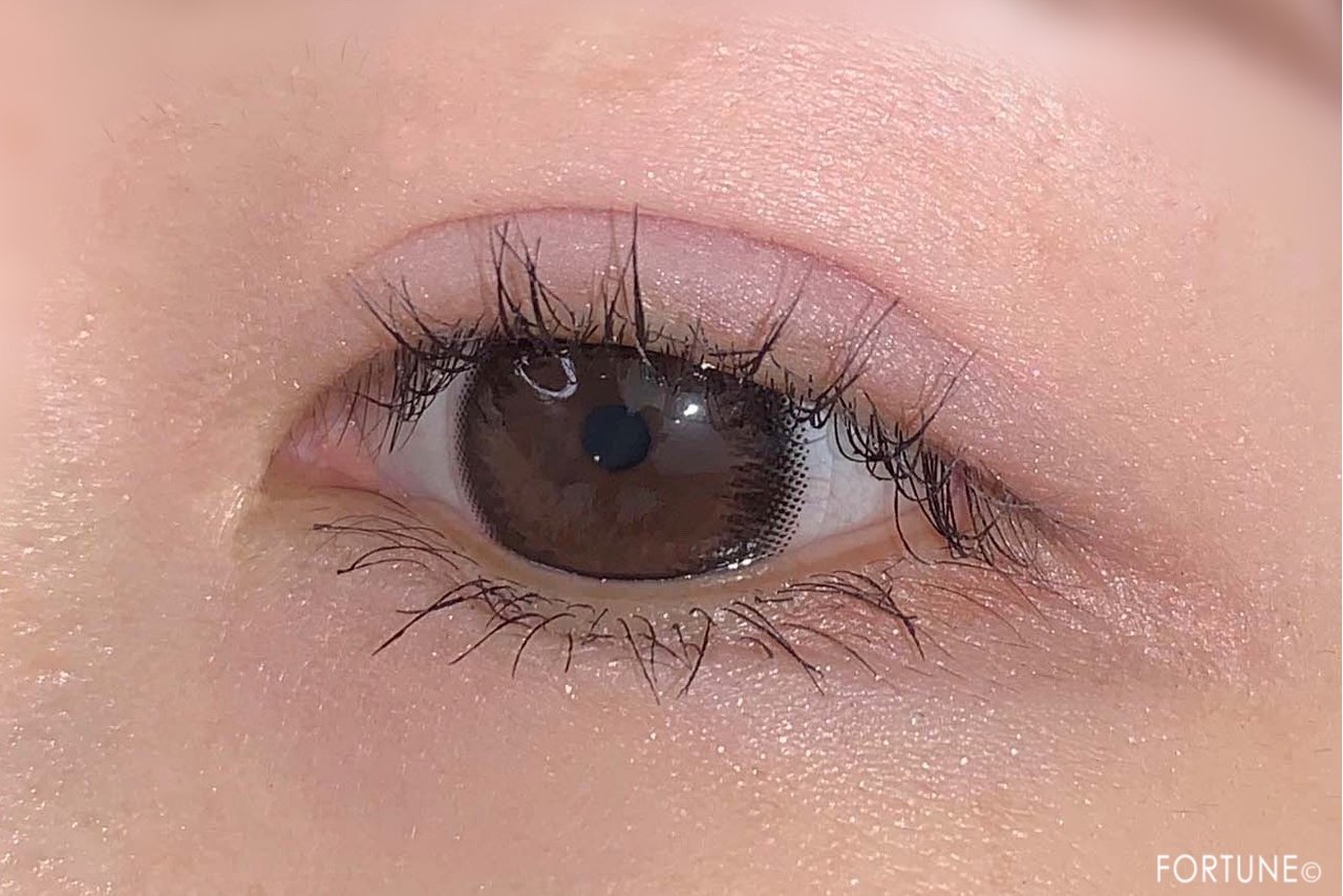 画像：REVLON（レブロン）2019秋新作コスメ レブロン カラーステイ ルックス ブック パレット