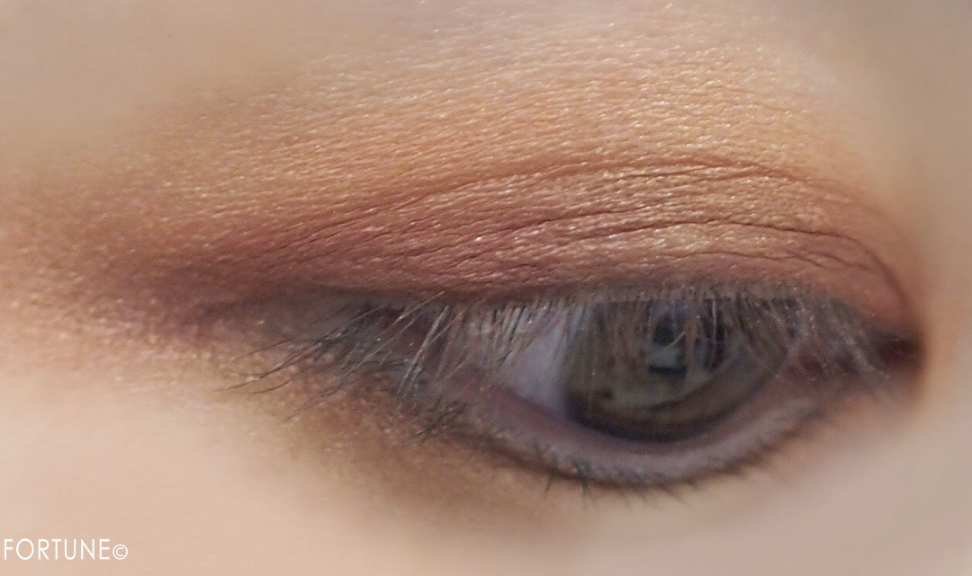 画像：REVLON（レブロン）2019秋新作コスメ レブロン カラーステイ ルックス ブック パレット