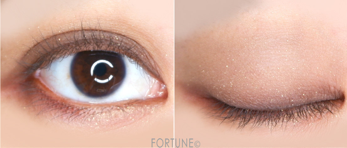 画像：YSL（イヴ・サンローラン）　FALL LOOK 2019　SEXY TOMBOY（セクシー トムボーイ）　アイパレット セクシー トムボーイ　メイク