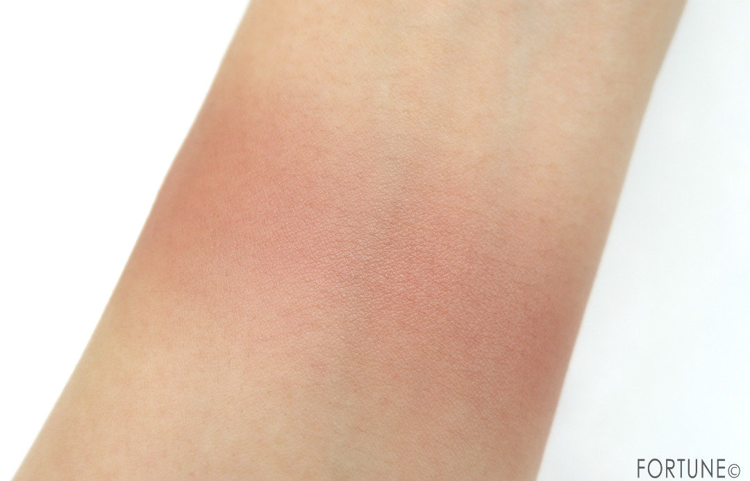 画像：YSL（イヴ・サンローラン）　FALL LOOK 2019　SEXY TOMBOY（セクシー トムボーイ）　ブラッシュクチュール　N°13 サルフルス プラム　使用感