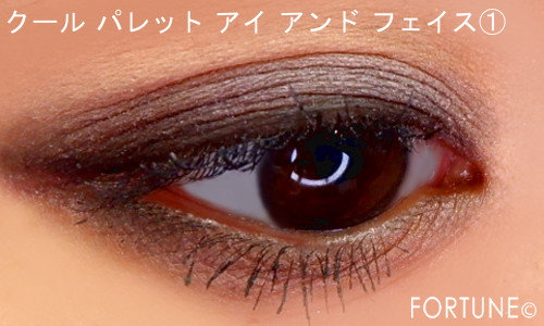 2019夏限定コフレ『M·A·C Up Close and Personal』「 クール パレット アイ アンド フェイス」使用感