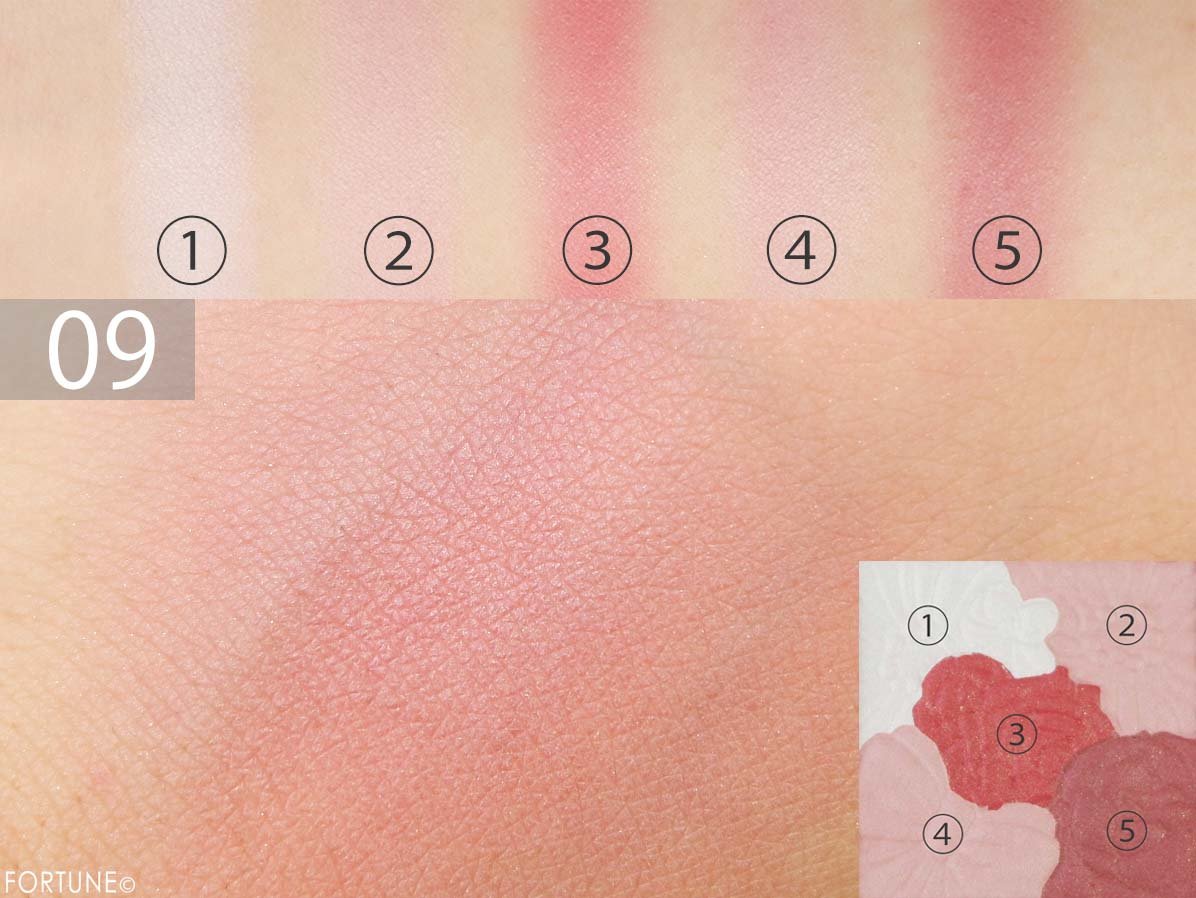 キャンメイク（CANMAKE）　「グロウフルールチークス」No.09 バーガンディーフルール