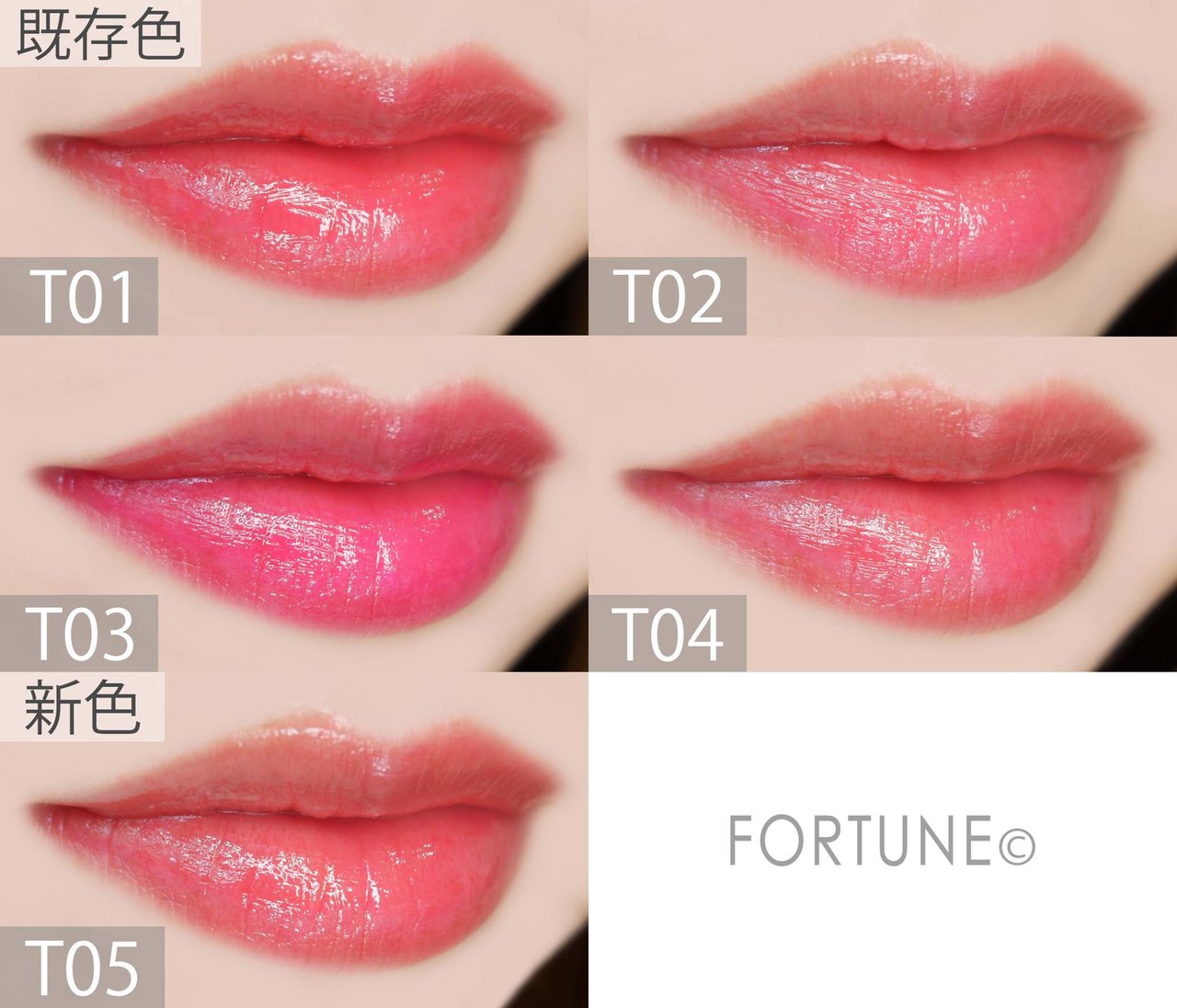 コスメカレンダー：キャンメイク「ステイオンバームルージュ T」