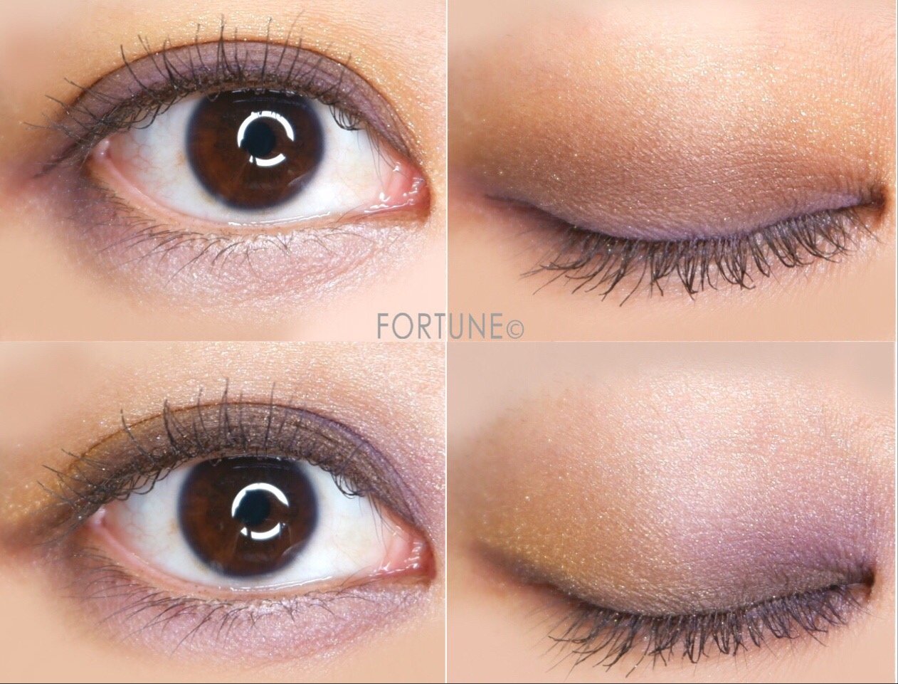 コスメカレンダー：スック「デザイニング カラー アイズ」