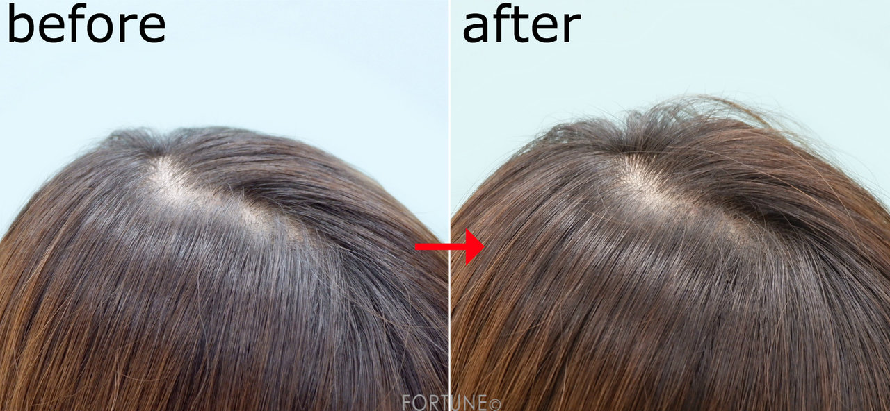 コスメカレンダー：フジコ「FPPパウダー」