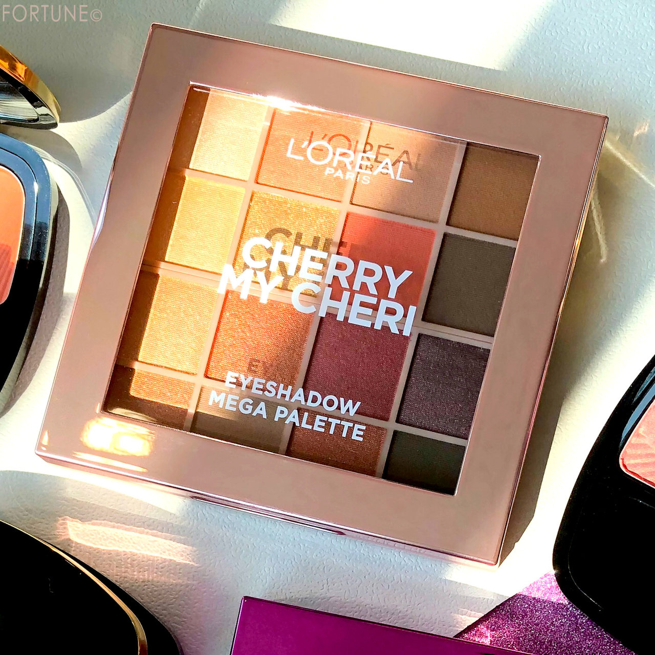 画像：ロレアル パリ2019秋新作「アイシャドウ メガパレット 01 チェリーマイシェリー」