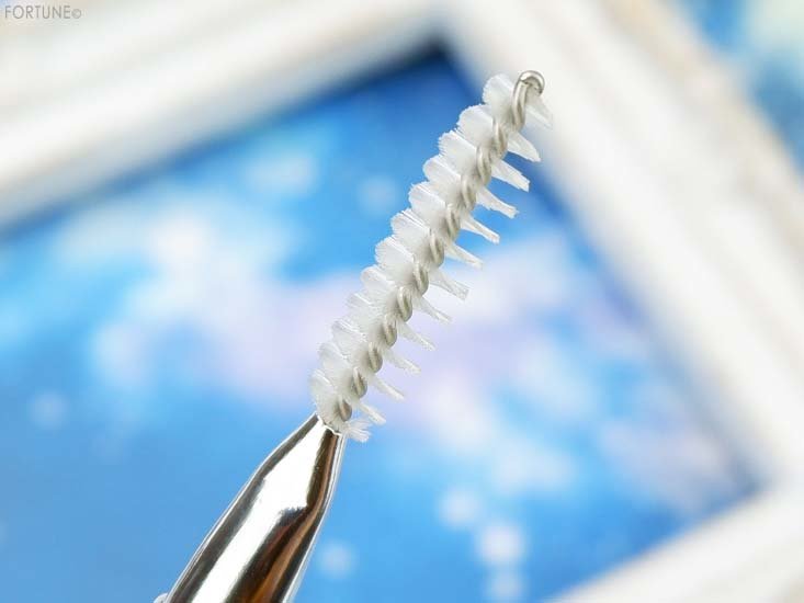 画像：アレスクラ「ザ ラッシュブラシ」